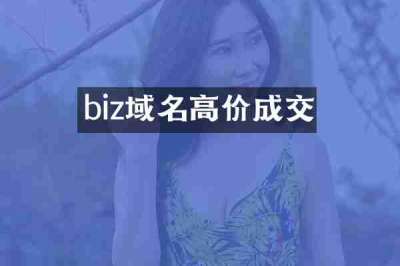 biz域名高价成交