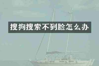 搜狗搜索不到脸怎么办