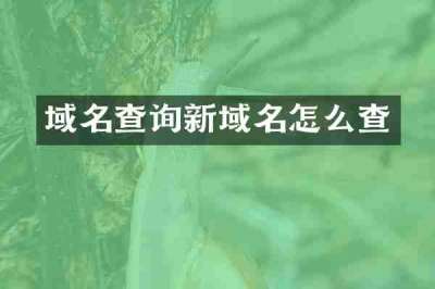 域名查询新域名怎么查