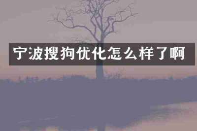 宁波搜狗优化怎么样了啊