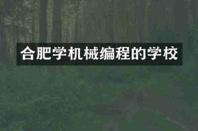合肥学机械编程的学校