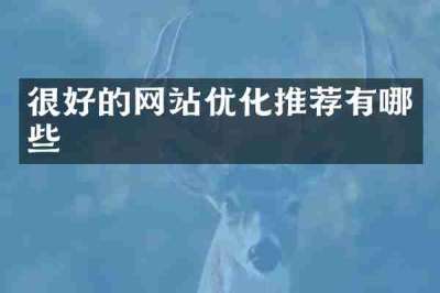 很好的网站优化推荐有哪些