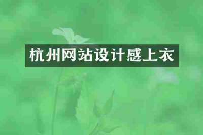 杭州网站设计感上衣