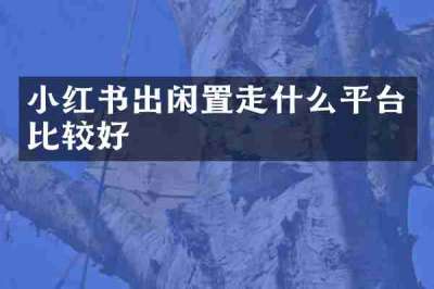 小红书出闲置走什么平台比较好