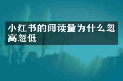小红书的阅读量为什么忽高忽低