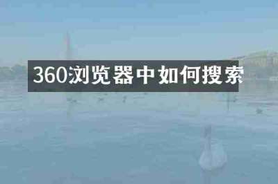 360浏览器中如何搜索