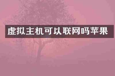 虚拟主机可以联网吗苹果
