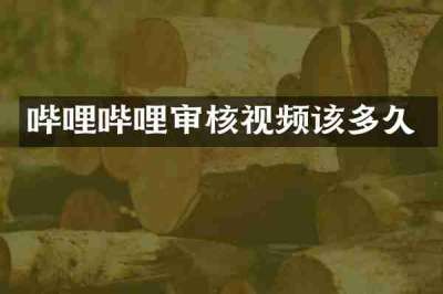 哔哩哔哩审核视频该多久