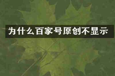 为什么百家号原创不显示