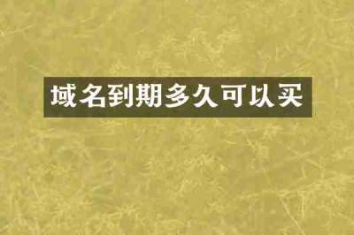 域名到期多久可以买