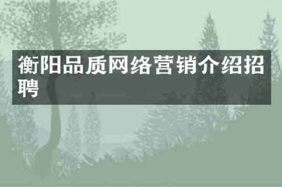 衡阳品质网络营销介绍招聘
