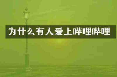 为什么有人爱上哔哩哔哩