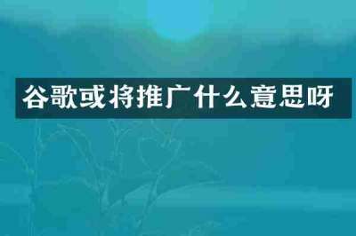 谷歌或将推广什么意思呀