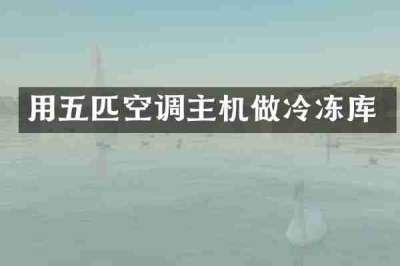 用五匹空调主机做冷冻库
