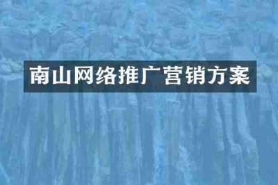 南山网络推广营销方案