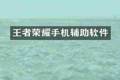 王者荣耀手机辅助软件