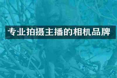 专业拍摄主播的相机品牌
