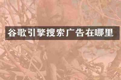 谷歌引擎搜索广告在哪里