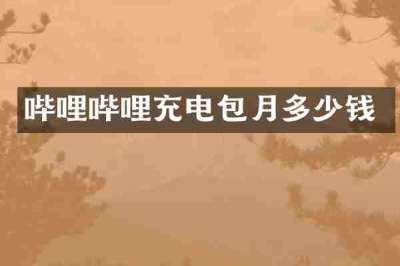 哔哩哔哩充电包月多少钱
