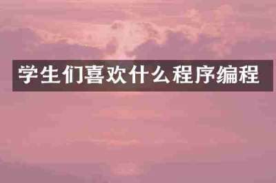 学生们喜欢什么程序编程