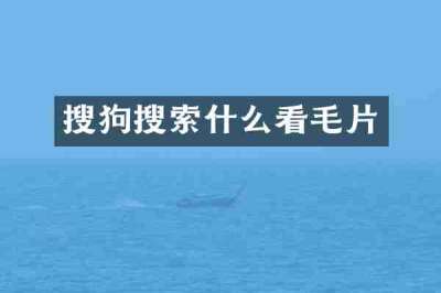搜狗搜索什么看毛片
