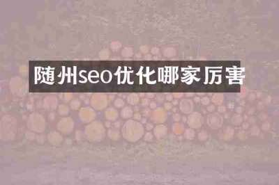 随州seo优化哪家厉害