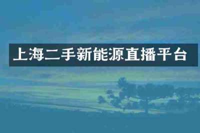 上海二手新能源直播平台