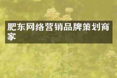 肥东网络营销品牌策划商家