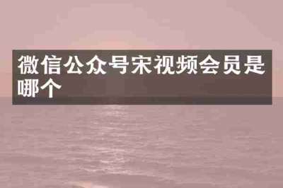 微信公众号宋视频会员是哪个