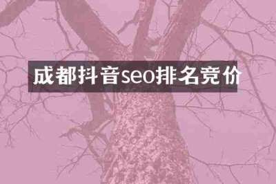 成都抖音seo排名竞价
