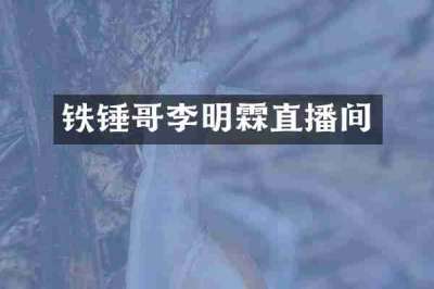 铁锤哥李明霖直播间