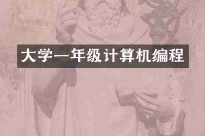 大学一年级计算机编程