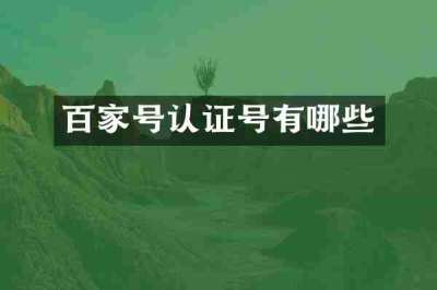 百家号认证号有哪些