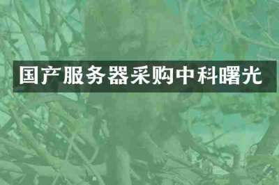 国产服务器采购中科曙光