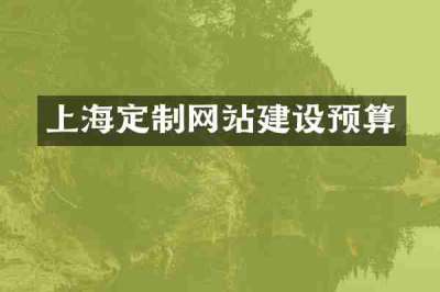 上海定制网站建设预算