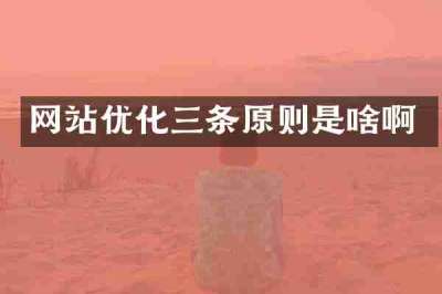网站优化三条原则是啥啊