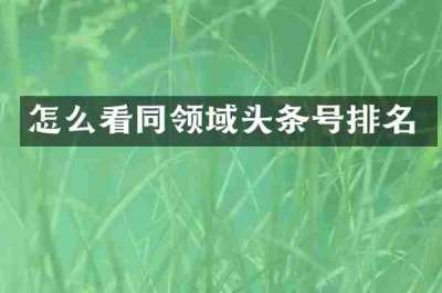 怎么看同领域头条号排名