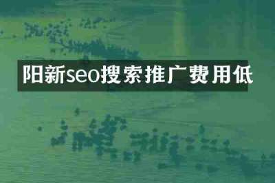 阳新seo搜索推广费用低