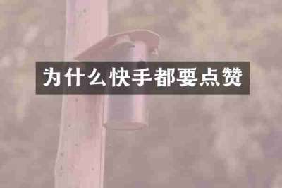 为什么快手都要点赞