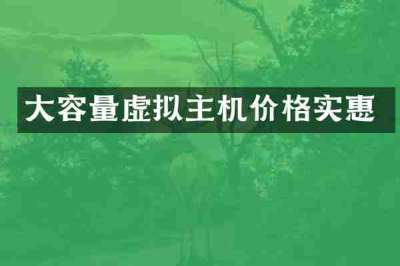 大容量虚拟主机价格实惠