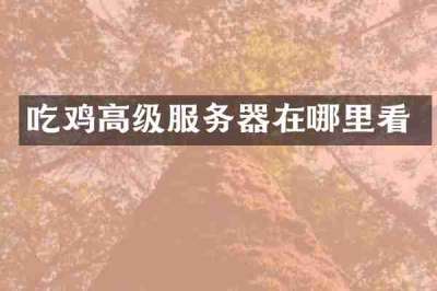 吃鸡高级服务器在哪里看