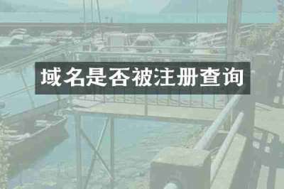 域名是否被注册查询