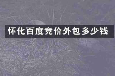 怀化百度竞价外包多少钱
