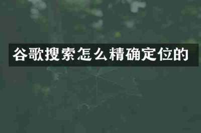 谷歌搜索怎么精确定位的