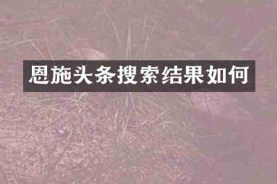 恩施头条搜索结果如何