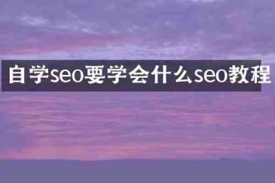 自学seo要学会什么seo教程