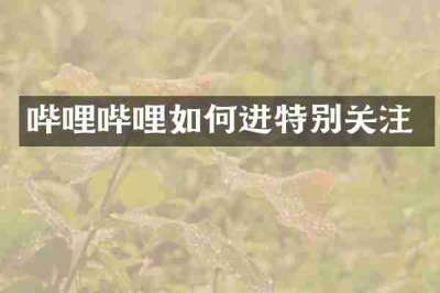 哔哩哔哩如何进特别关注