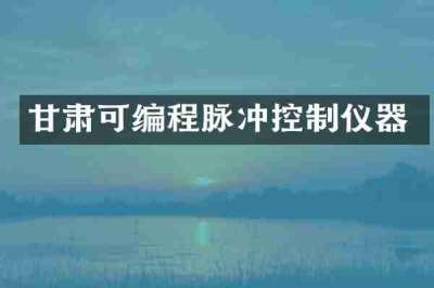 甘肃可编程脉冲控制仪器