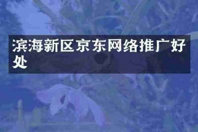 滨海新区京东网络推广好处
