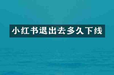 小红书退出去多久下线